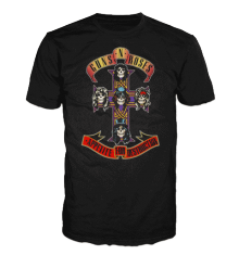 GUNS N ROSES - APPETITE